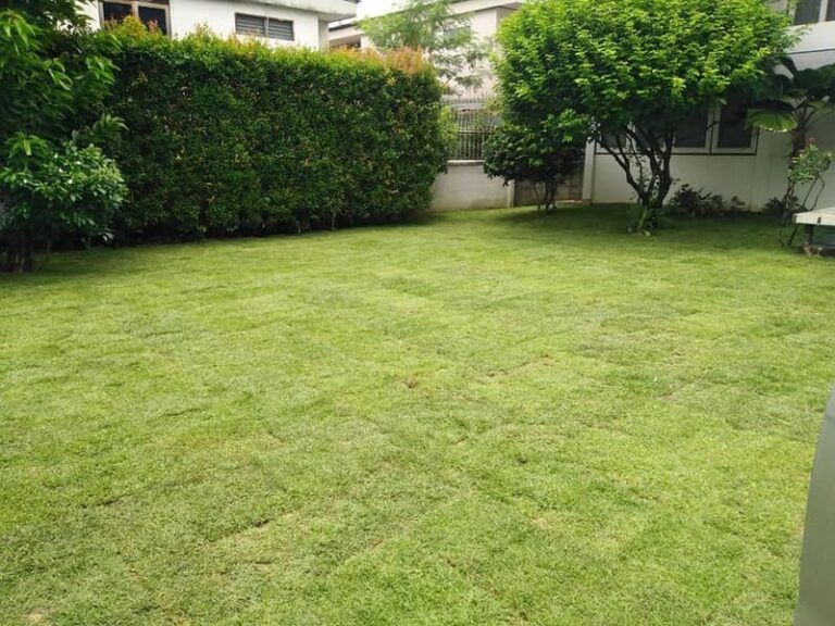 รับปูหญ้านนทบุรี หญ้านวลน้อย ญี่ปุ่น มาเลเซีย โทร 0654789716