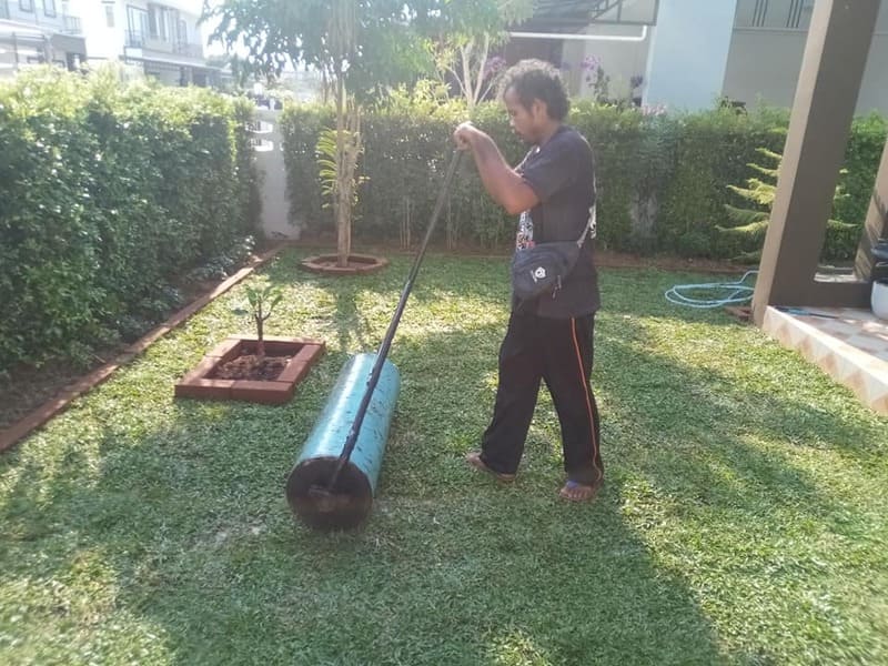 รับปูหญ้าบางบัวทอง หญ้านวลน้อย ญี่ปุ่น มาเลเซีย T.0654789716