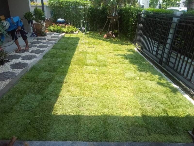 รับปูหญ้าพระราม2 หญ้านวลน้อย ญี่ปุ่น มาเลเซีย โทร 0654789716