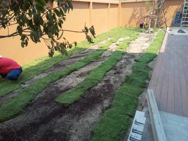 รับปูหญ้าสมุทรสาคร หญ้านวลน้อย ญี่ปุ่น มาเลเซีย โทร 0654789716