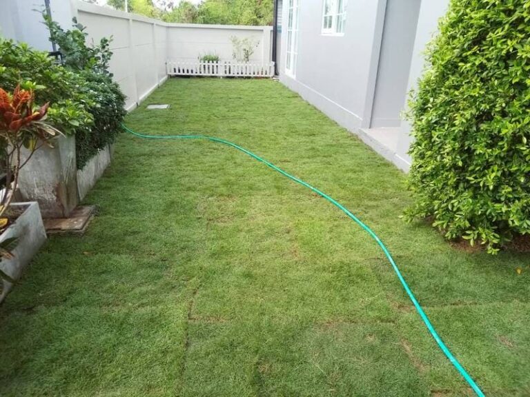 รับปูหญ้าอยุธยา หญ้านวลน้อย ญี่ปุ่น มาเลเซีย โทร 0654789716