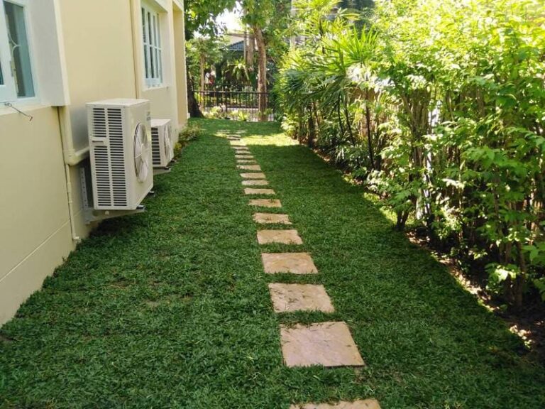 หญ้าจัดสวน ปูสนามทุกชนิด ราคาในไร่ เจ้าของไร่ขายเองจร้า